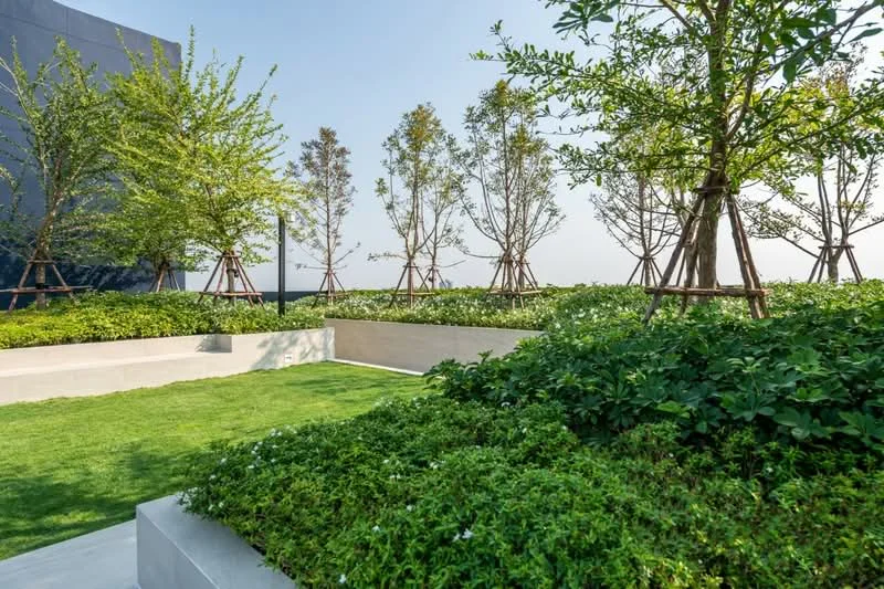 Property image 56