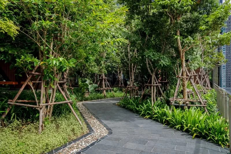 Property image 38