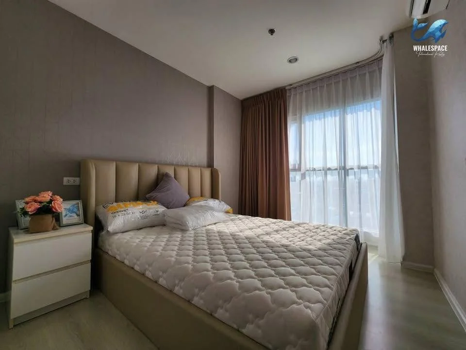 1 Bedroom condo in Aspire Sukhumvit 48