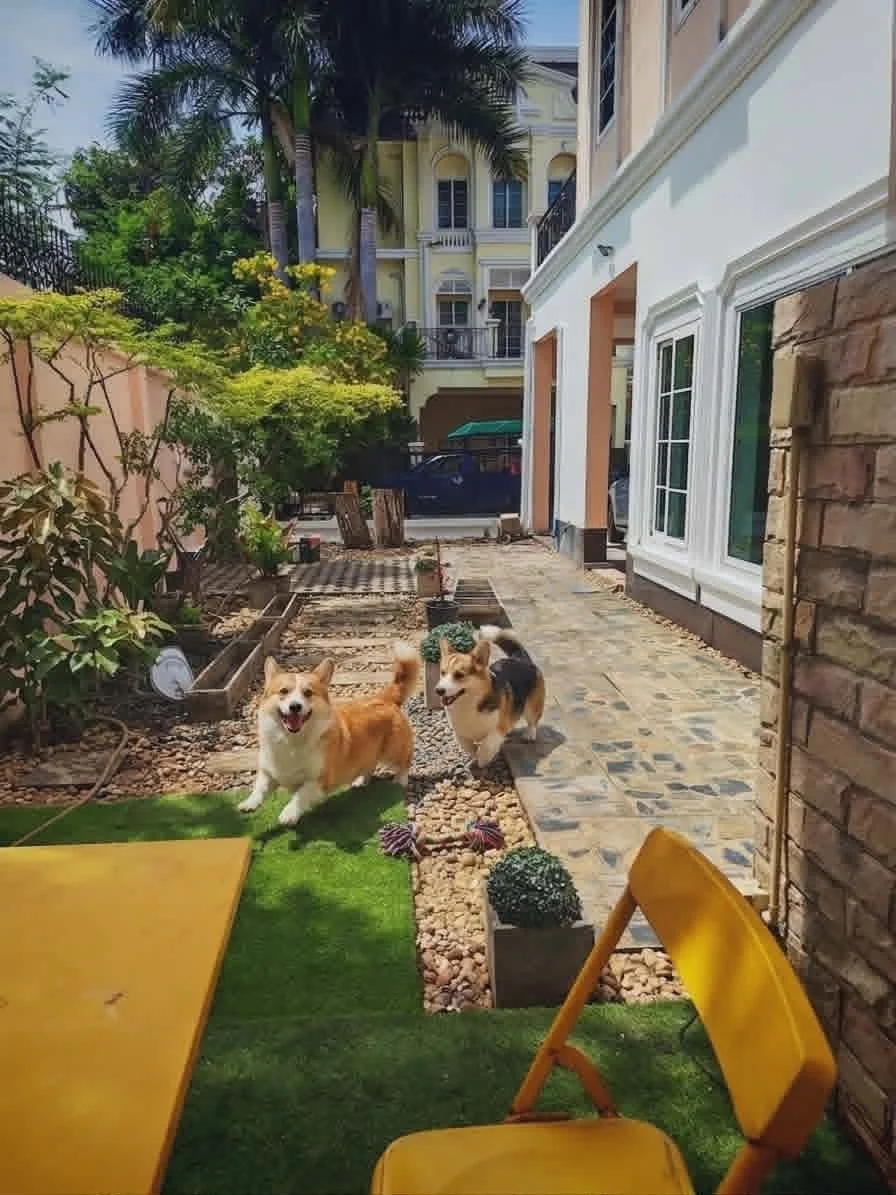 4 Bedroom condo in Urban Sathorn