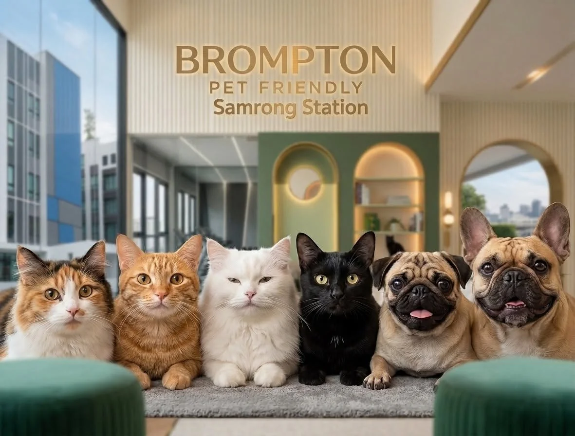 1 Bedroom condo in Brompton Pet Friendly Samrong Station : บรอมป์ตัน เพ็ท เฟรนด์ลี่ สำโรง