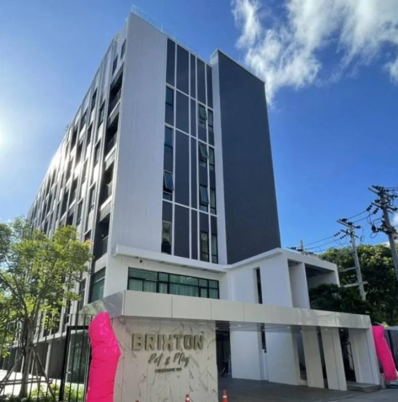 1 Bedroom condo in Brixton Pet & Play Sukhumvit 107