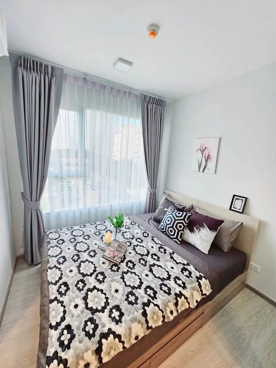 1 Bedroom condo in Plum Condo Sukhumvit 62