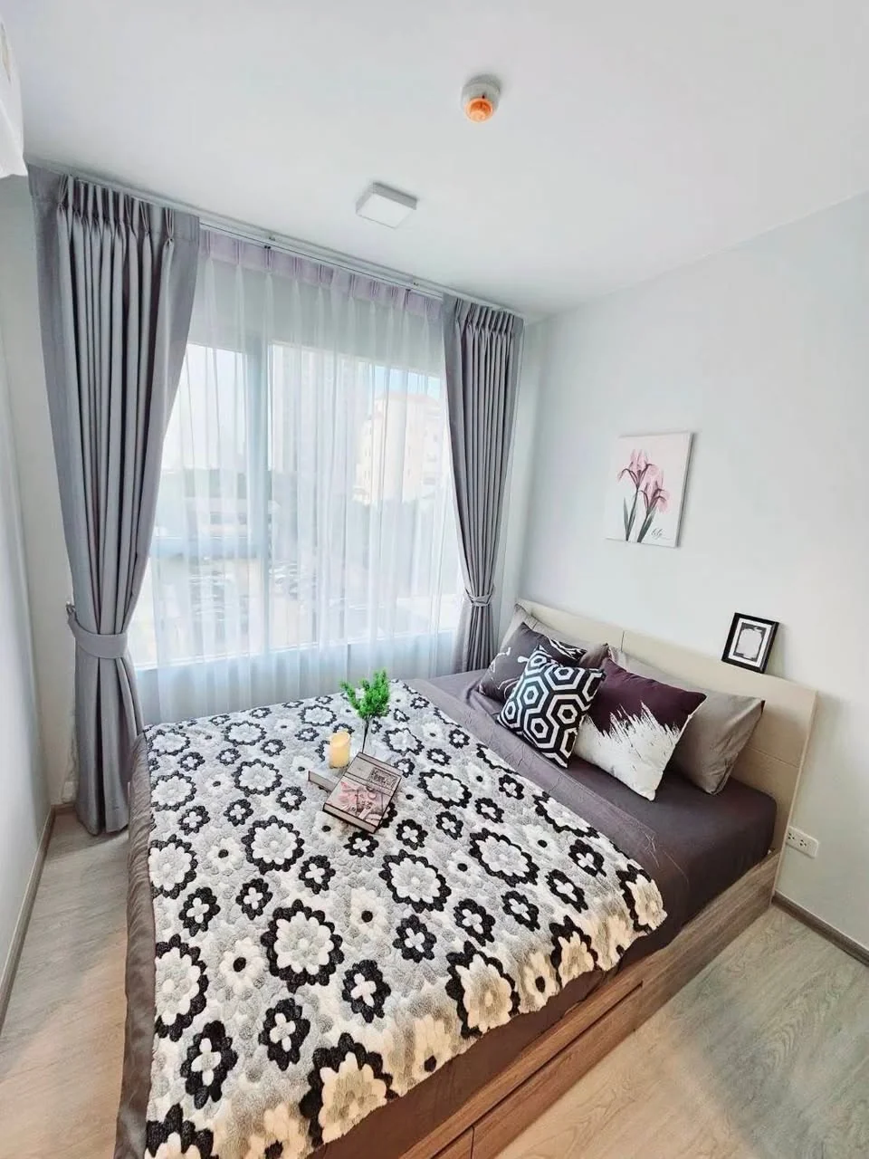 1 Bedroom condo in Plum Condo Sukhumvit 62
