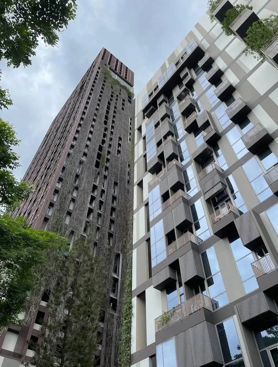 1 Bedroom condo in IDEO Morph 38