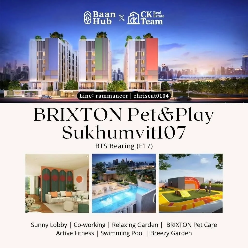1 Bedroom condo in Brixton Pet & Play Sukhumvit 107