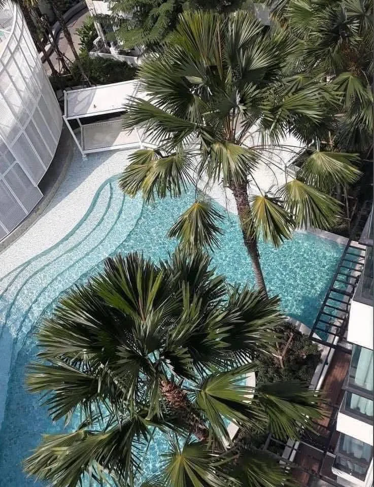 1 Bedroom condo in UNiO Sukhumvit 72 Phase 2