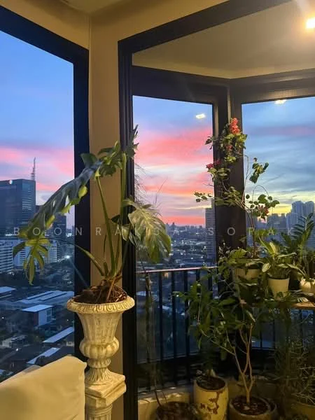 2 Bedroom condo in IDEO Q Sukhumvit 36