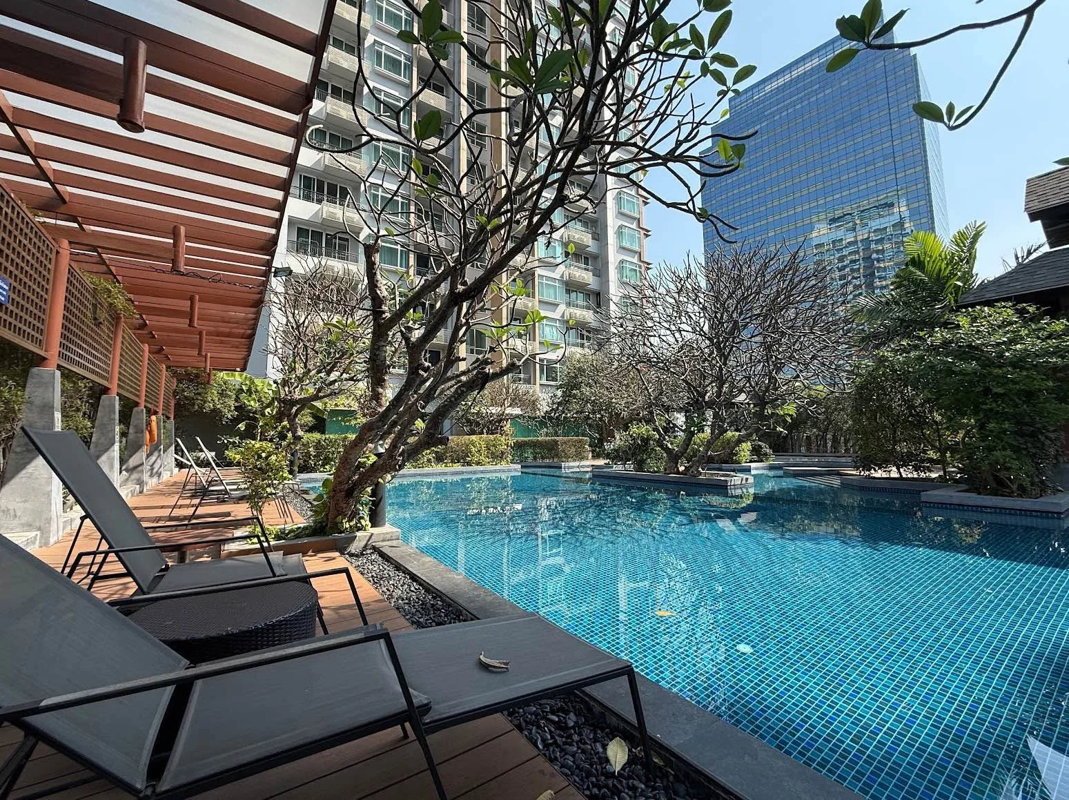1 Bedroom condo in Circle Condominium