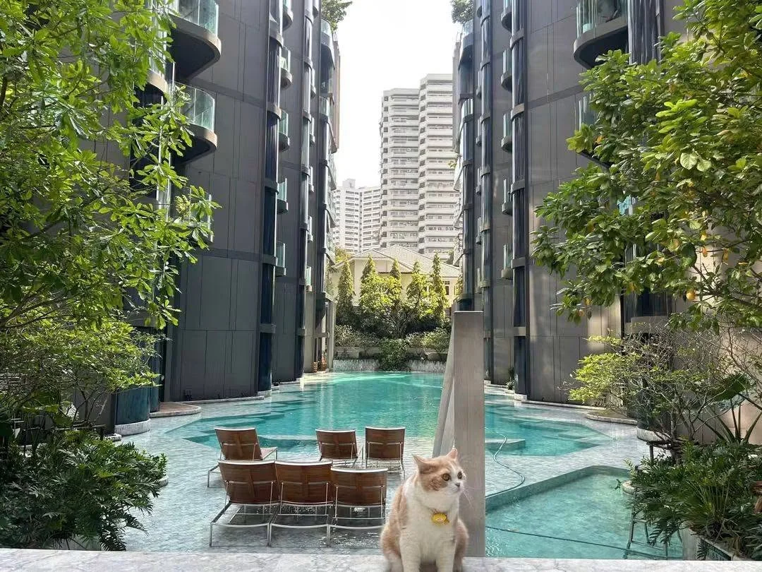 2 Bedroom condo in ASHTON Residence 41