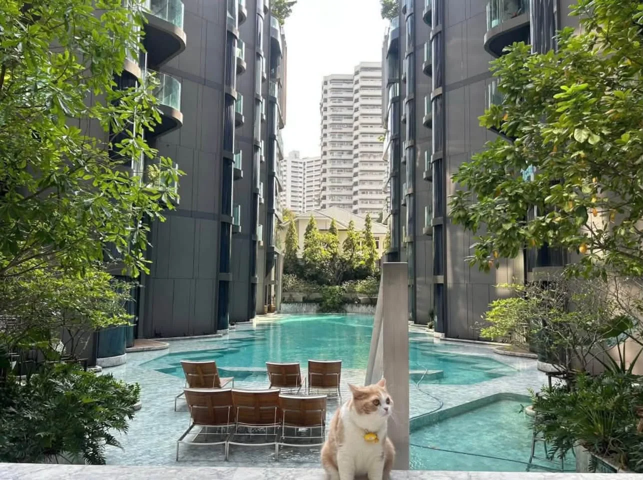 2 Bedroom condo in ASHTON Residence 41